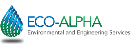 web design and development portfolio