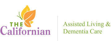 web design and development portfolio